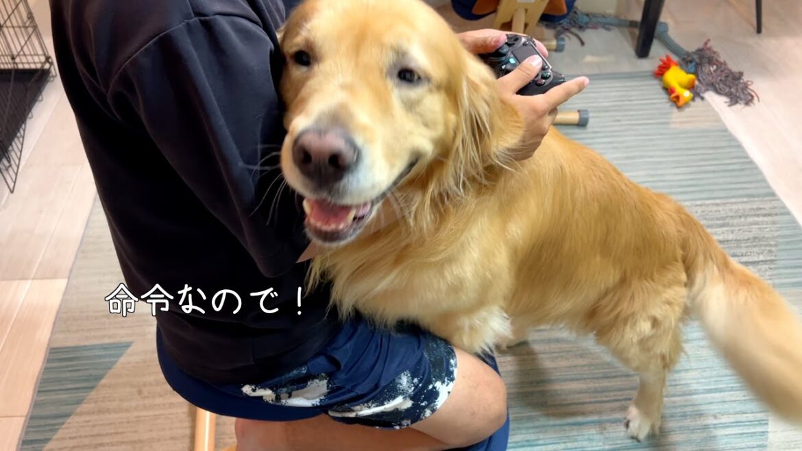 ママに言われた通りに、素直にパパのゲームの邪魔をする愛犬w