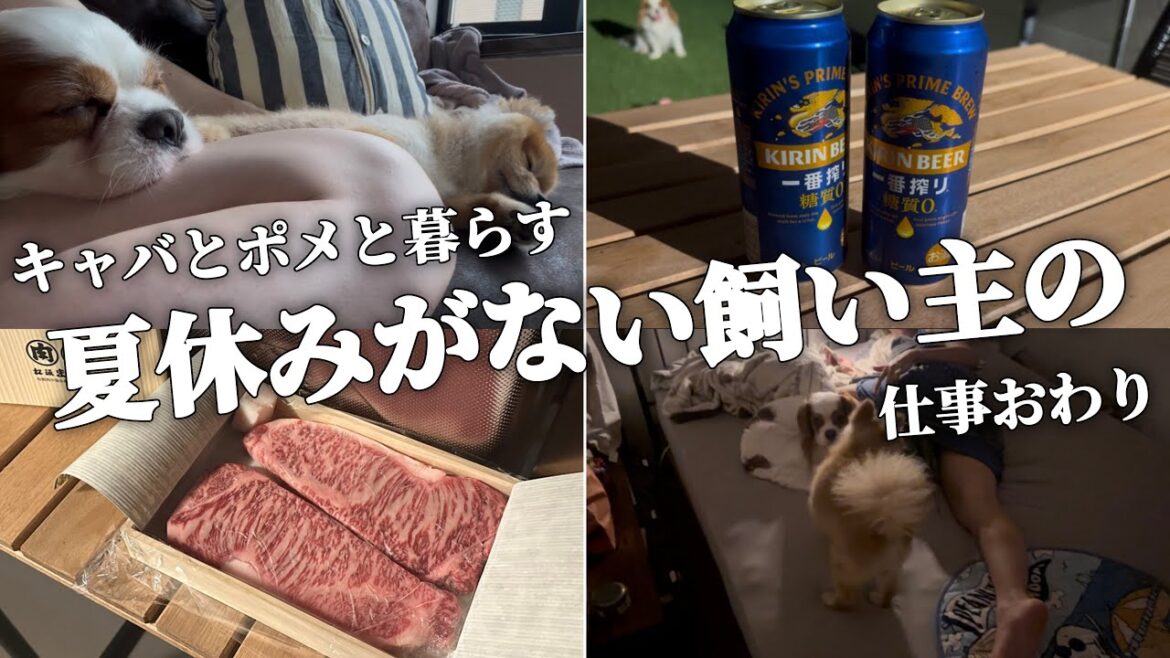 満身創痍で帰宅してもキャバリアとポメラニアンと肉と酒でなんとかなる