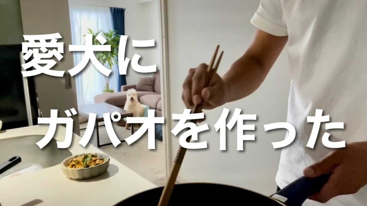 【簡単レシピ】愛犬にガパオを作った！テリア