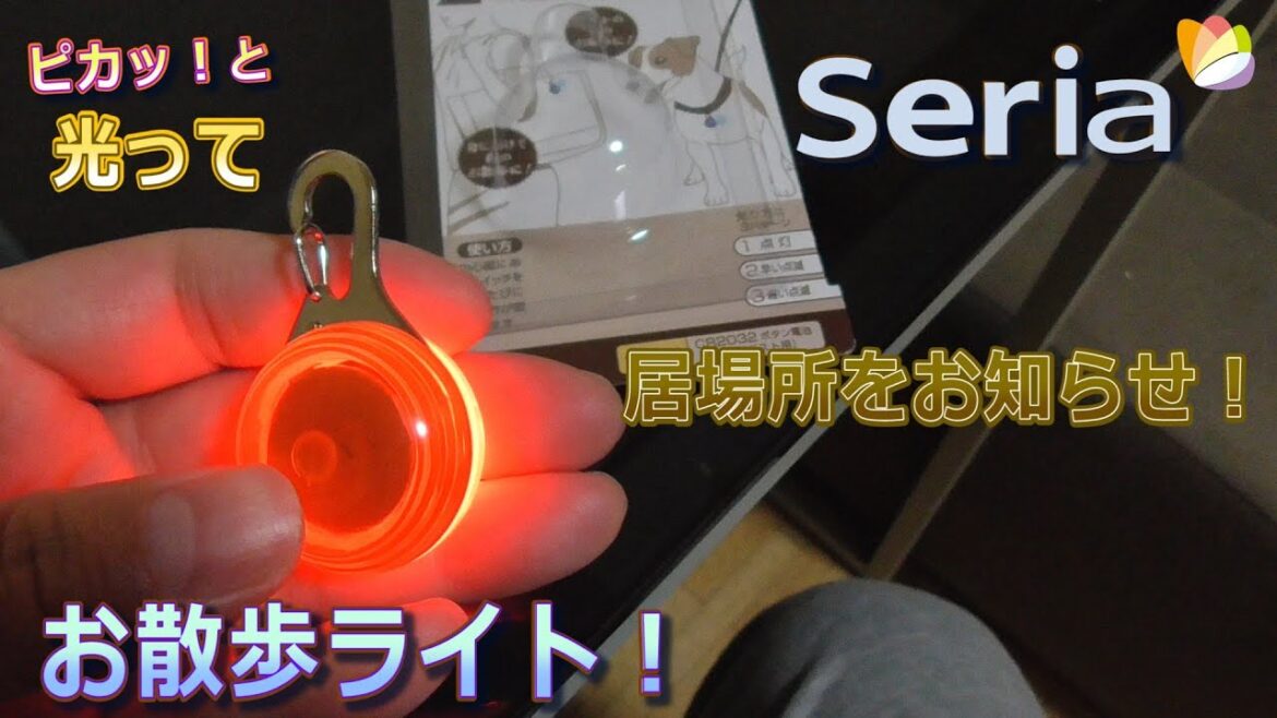 Seriaで買ったお散歩ライト！ビションフリーゼ