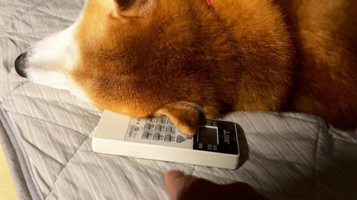 エアコンの温度設定をたった1℃下げるのがこんなにも難しい理由