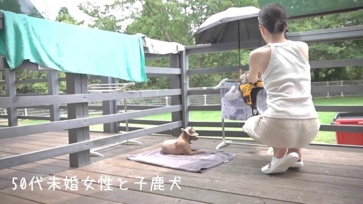 50代、未婚、子なし。家族が新たに加わり息子に大きな変化があらわれた夏の合同合宿生活【ミニピン】