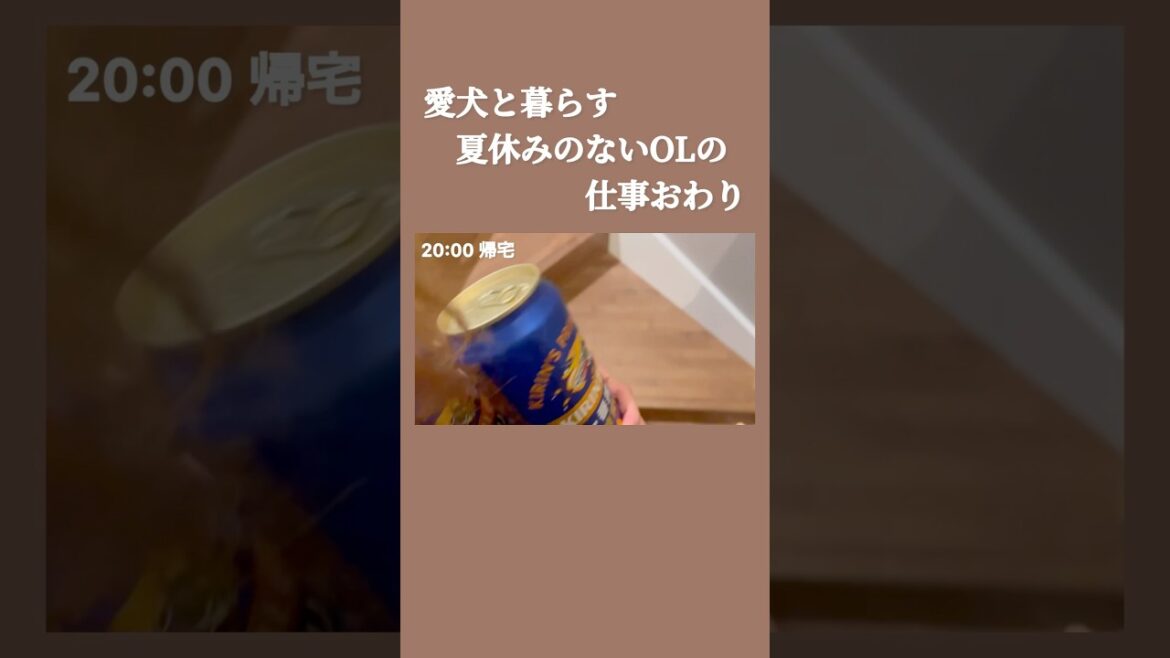 満身創痍で帰宅したら… #shorts #キャバリア #ポメラニアン 満身創痍で帰宅したら… #shorts #キャバリア #ポメラニアン