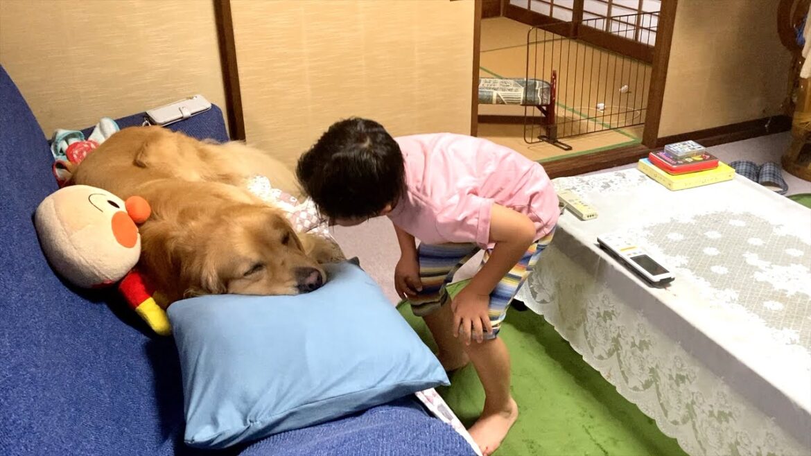 愛犬がソファを占領して、気持ちよさそうに寝ていた・・・