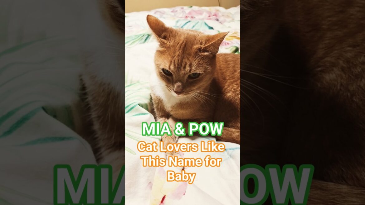 When names go wrong.