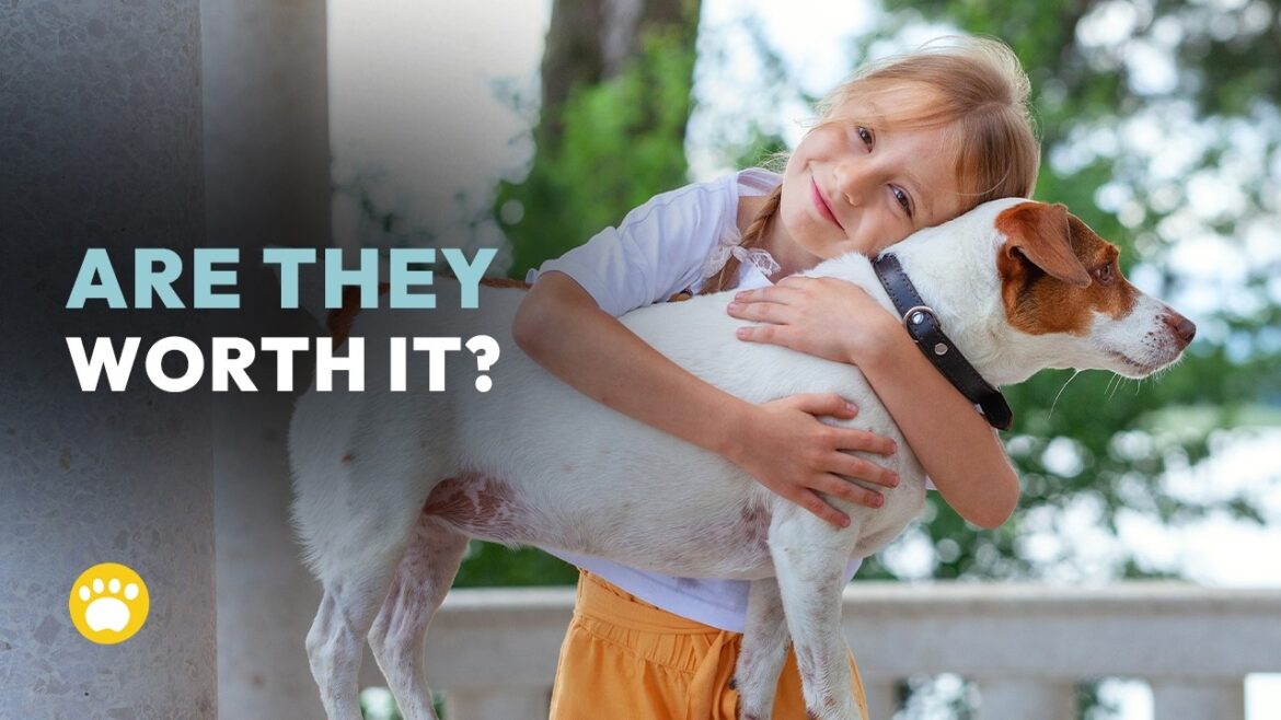 ジャックラッセルテリアは飼う価値があるのか？メリットとデメリット