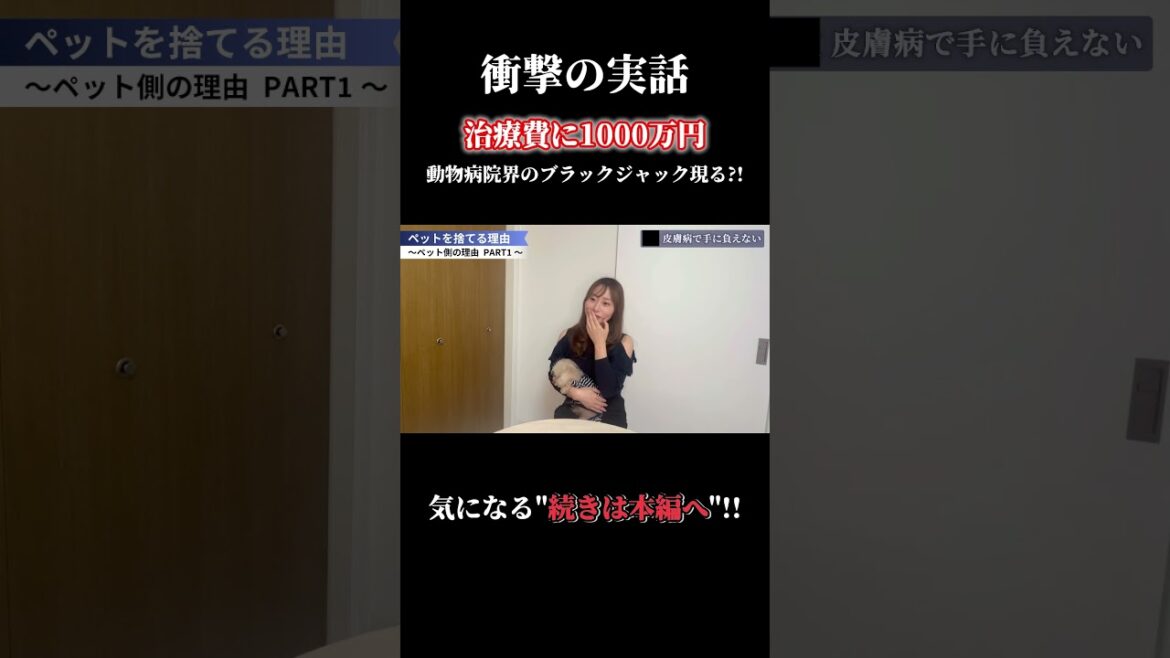 【実話】治療費1000万円？！  #dogs #short  #ひろゆき #犬 #犬とおねえさん #youtube教室 #狗  #Anjing #Perros #الكلاب #หมา #いっぬ