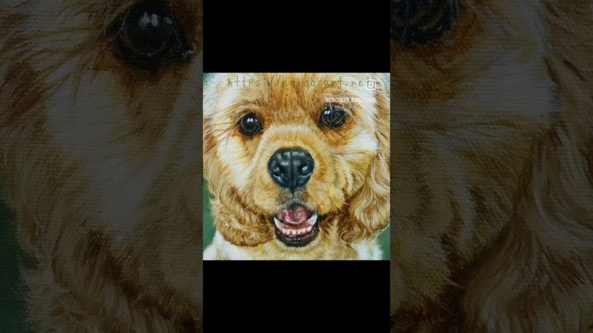 オーダー油絵　アメリカンコッカースパニエルの肖像画