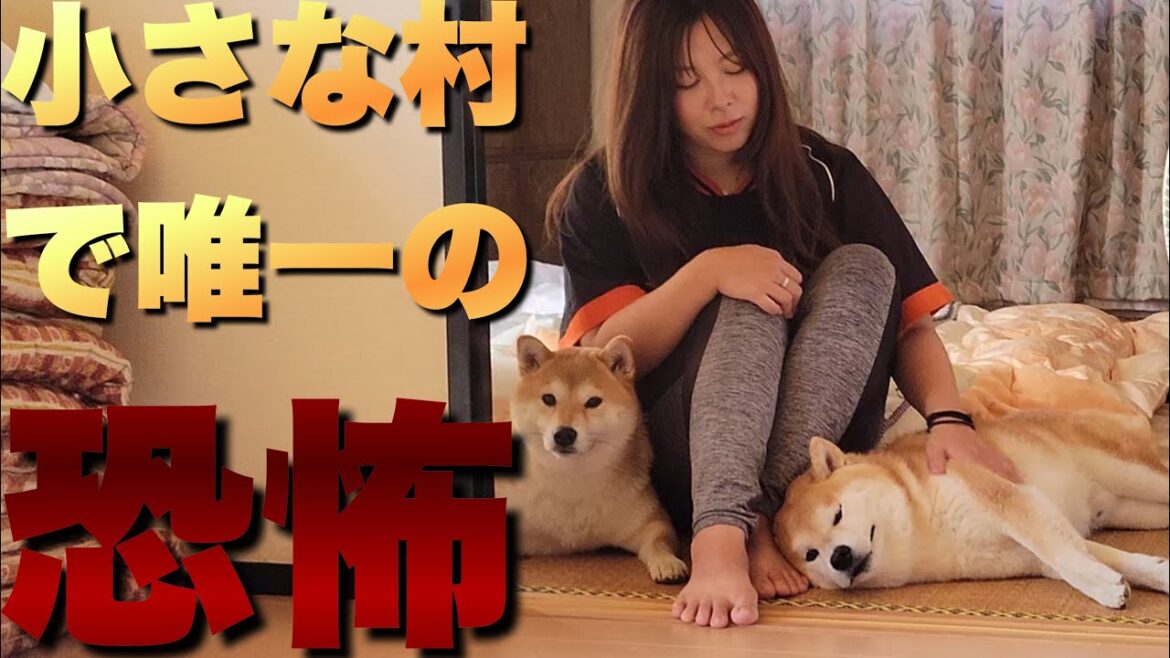 柴犬と水道・風呂・エアコン無しの村生活。唯一の不満はアレでした