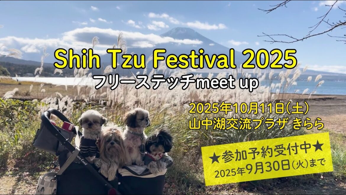 シーズーフェスティバル2025(フリーステッチ主催)in山中湖 参加お申し込み受付中! シーズーフェスティバル2025(フリーステッチ主催)in山中湖 参加お申し込み受付中!