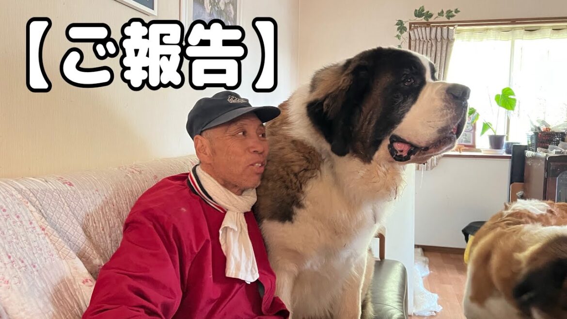 【ご報告】パパさんの病気について
