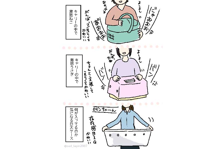 動物病院には猫やウサギ、大きなケースに入った動物がいることも【画像提供：南兎（@sud_lapin2987）さん】