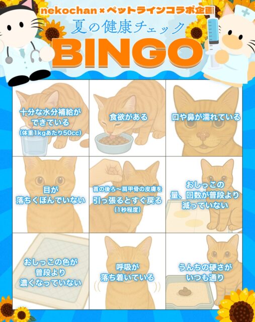 記事画像2: 猫の健康チェック項目をまとめたビンゴ形式のイラスト