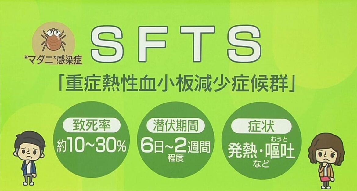 日本テレビ放送網