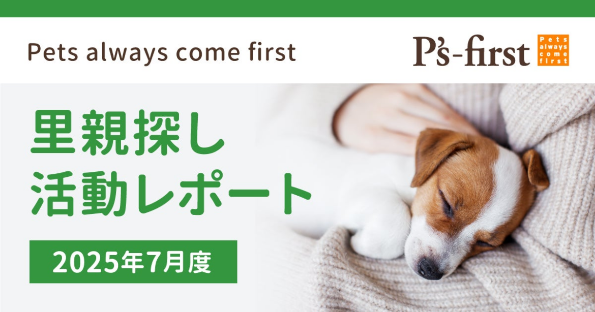 ペッツファーストグループ 里親探し活動レポート 2025年7月度 | ペッツファーストホールディングス株式会社のプレスリリース ペッツファーストグループ 里親探し活動レポート 2025年7月度 | ペッツファーストホールディングス株式会社のプレスリリース