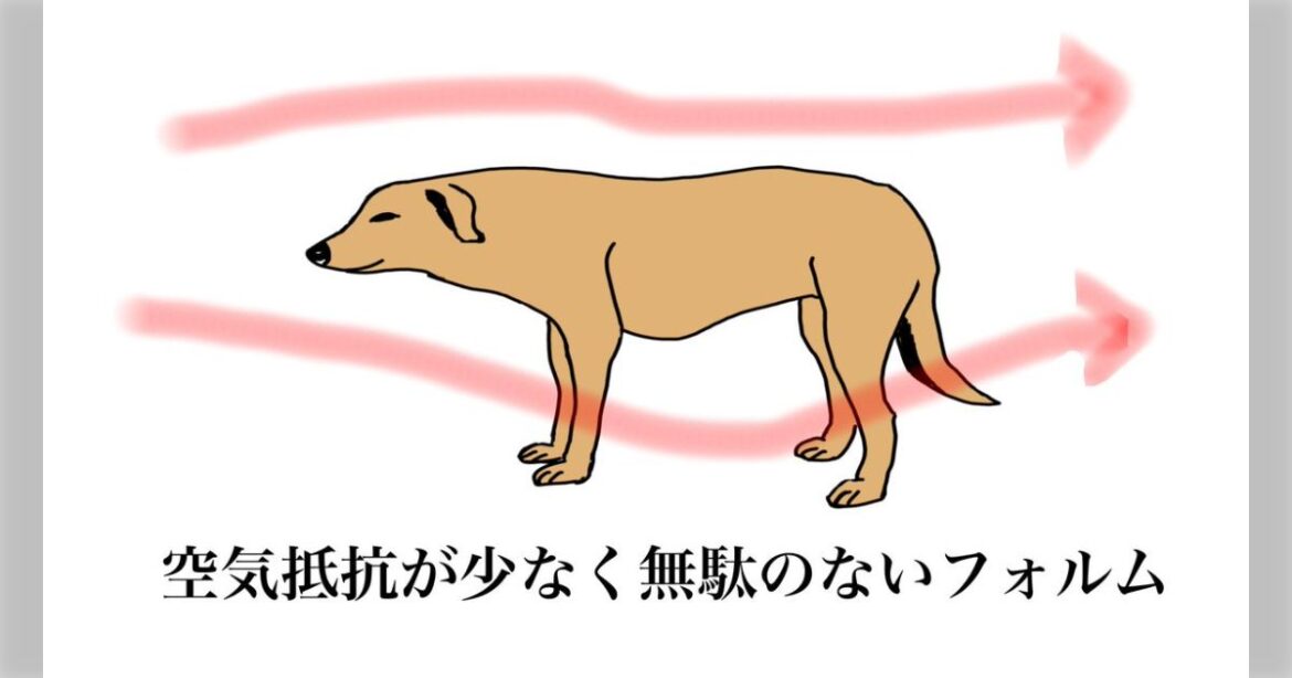 突如話題沸騰の『モンゴル犬』あっという間に人々の心を掴み #モンゴル犬のFA タグで大いに盛り上がる皆さん - Togetter [トゥギャッター]