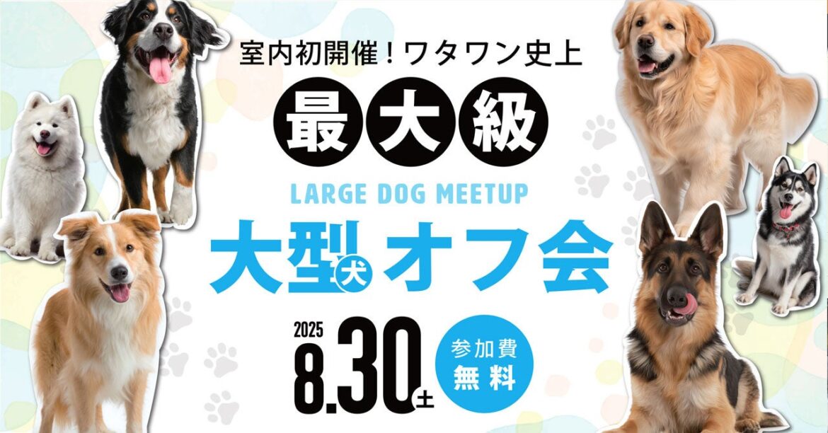 ＼待望の初開催！／8月30日（土）ワタワン史上最大級の大型犬オフ会がついに実現！ in WHATAWON | 株式会社antiquaのプレスリリース