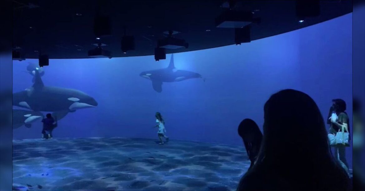 デジタル動物展示「ライトアニマル」はデジタルなので動物福祉問題が生じない、省資源・低コスト・安全で、より多くの人々に教育の機会を与えられる - Togetter [トゥギャッター]