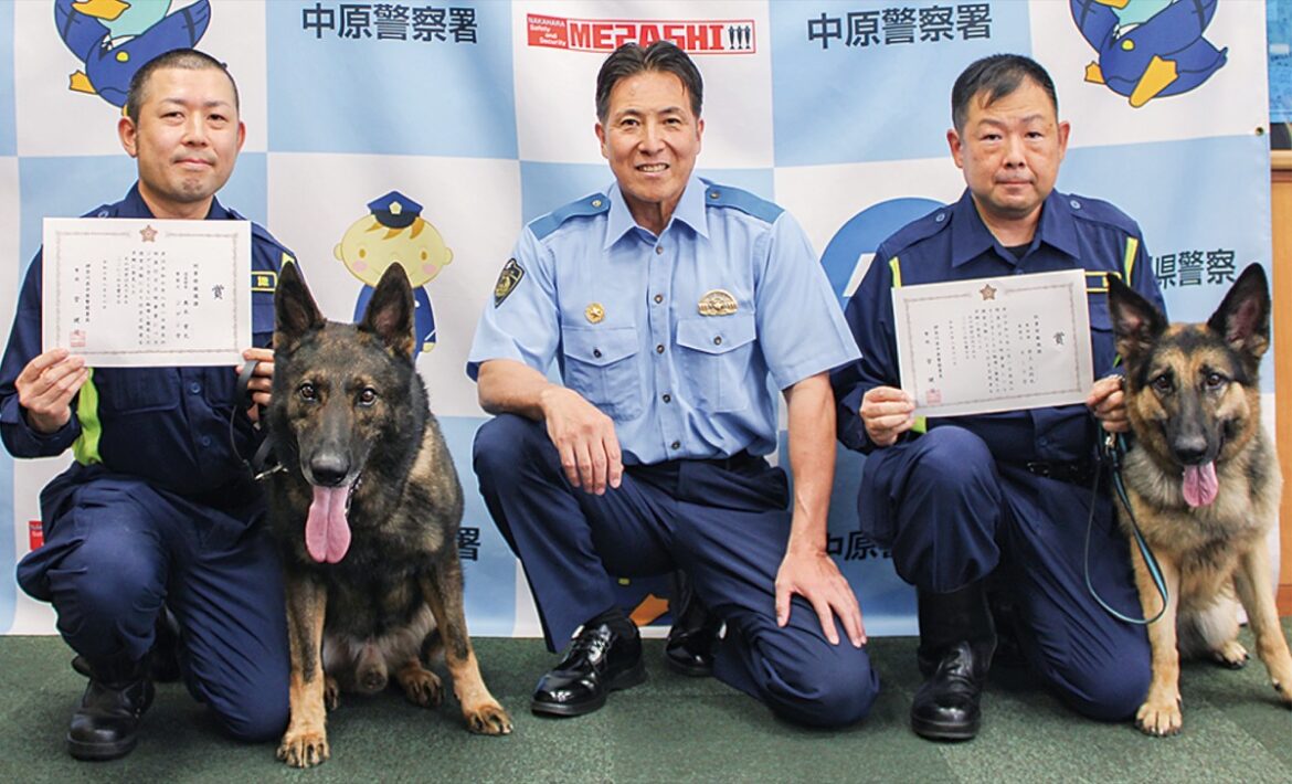 中原警察署 お手柄の警察犬を表彰 行方不明の80代女性発見 | 中原区