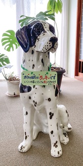 名札を首にかける｢ラッキー｣