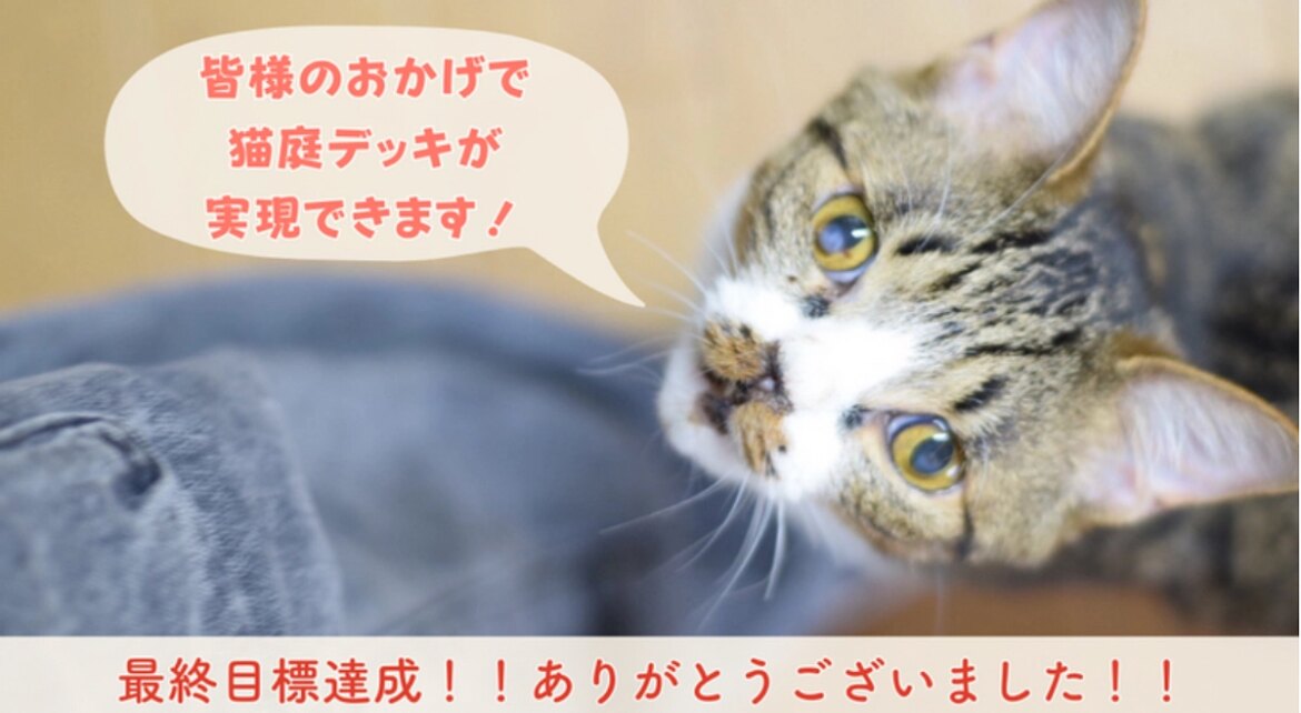 【祝！】最終目標達成しました！！猫庭デッキを2階の子たちにプレゼントします！ありがとうございました！ 人の深刻な高齢化から犠牲になる猫を救うために。命を守る医療支援を！（NPO法人　ねこの古都なら 2025/08/29 投稿） - クラウドファンディング READYFOR