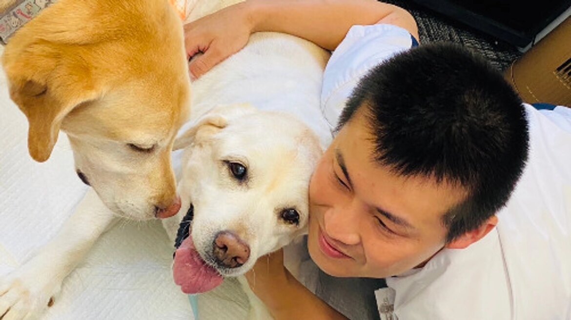 盲導犬ユーザーとリタイア犬 関西盲導犬協会｜これからもずっと、犬たちの健康と笑顔を守るために（公益財団法人　関西盲導犬協会 2025/08/09 投稿） - クラウドファンディング READYFOR
