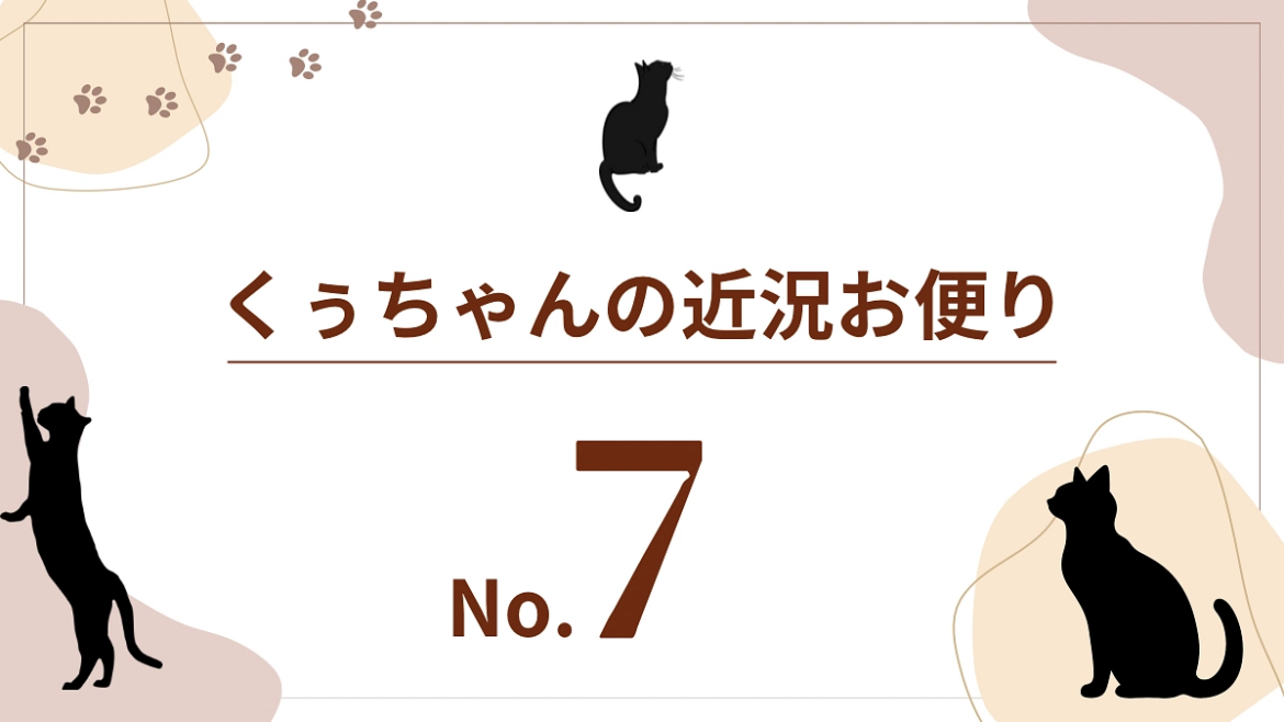 【くぅちゃんの近況おたより（8月12日）】 大切な愛猫クレオを抗がん剤で救いたい。（わたなべ 2025/08/12 投稿） - クラウドファンディング READYFOR