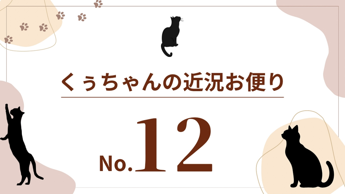 【くぅちゃんの近況おたより（8月19日）】 大切な愛猫クレオを抗がん剤で救いたい。（わたなべ 2025/08/20 投稿） - クラウドファンディング READYFOR