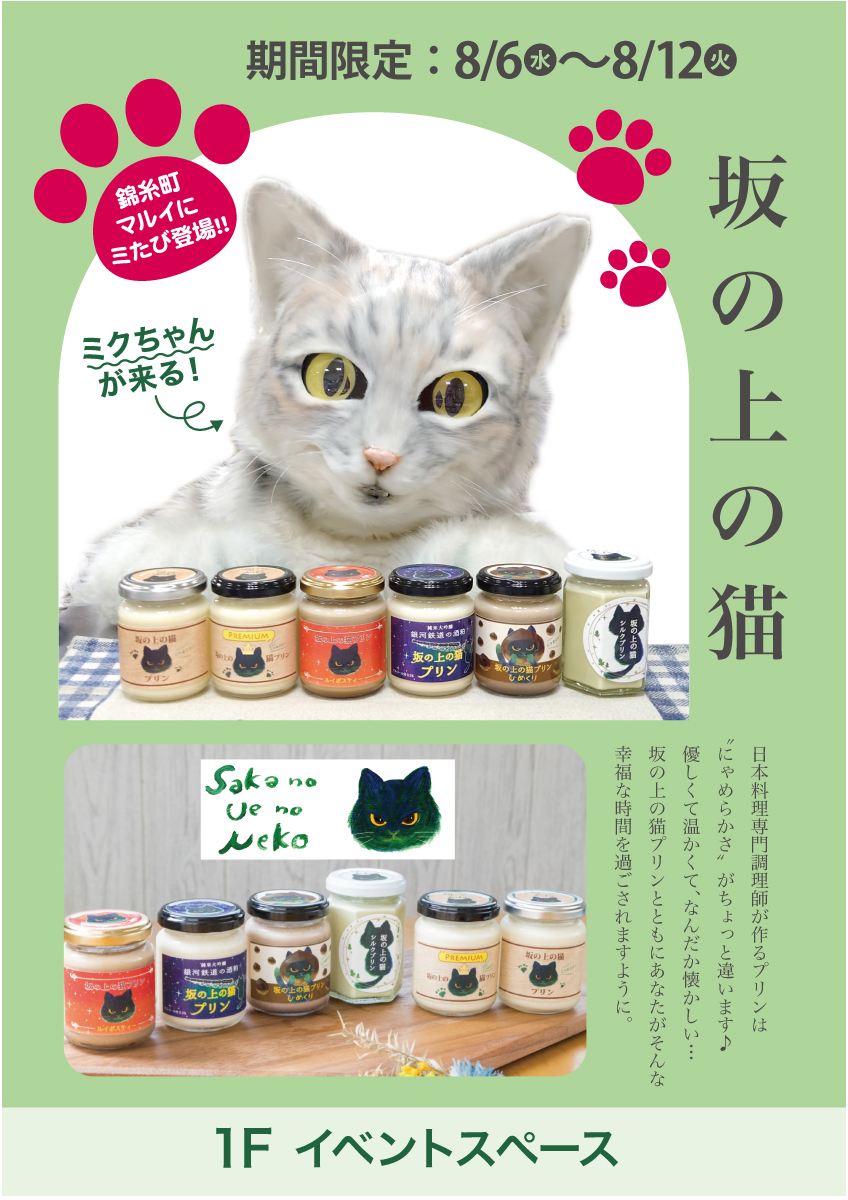 坂の上の猫フライヤー