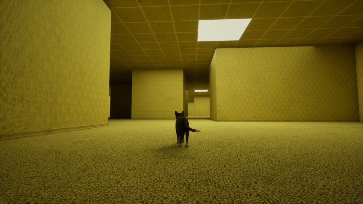 猫のリミナルスペース冒険ゲーム『LIMINALCAT』発表。バックルームや大草原などをさまよう、超現実的世界の逃避行 - AUTOMATON