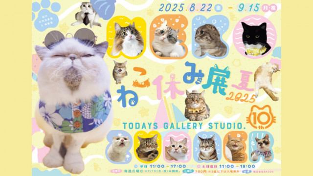 8.22 (金) 〜 9.15 (月)｜10周年記念・夏の本祭！猫の合同写真展＆物販展「ねこ休み展 夏 2025」がTODAYS GALLERY STUDIO.で開催！