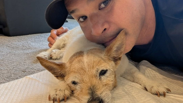 【いぬ】照英さん　19歳10ヶ月の愛犬テン「まだまだ食べてるよ〜」老犬の元気な姿が話題に