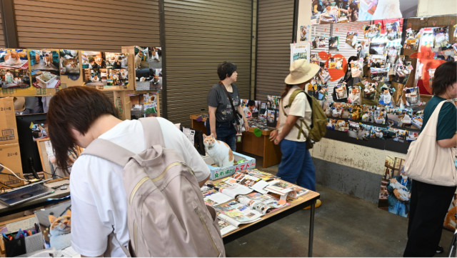 鶴ヶ峰・喜久屋青果店 看板猫の記録が蘇る 「めいちゃん」の写真展で賑わい戻った〈横浜市旭区・横浜市瀬谷区〉