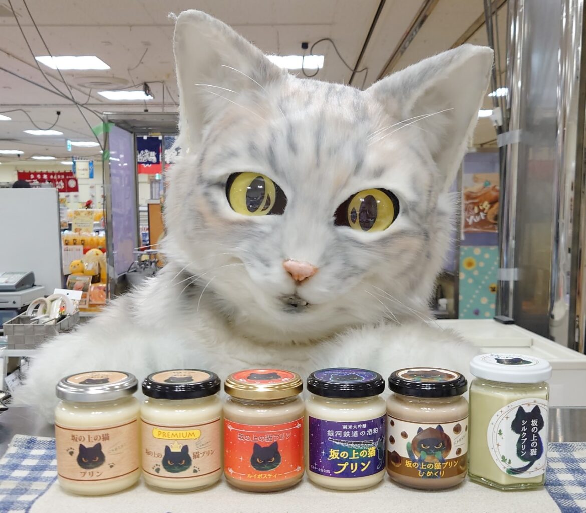 【墨田区】錦糸町マルイに「坂の上の猫」再び登場!アルバイト猫ミクちゃんに会いに行きませんか? | 号外NET 墨田区 ミクチャンとプリン