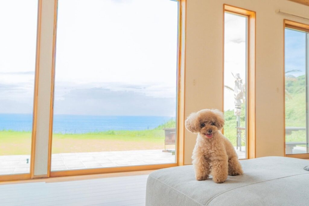 【1日1組限定】館山 布良海岸 愛犬と過ごす至福のリゾートヴィラ|9月12日(金)GRAND OPEN | 株式会社スタートステイのプレスリリース 【1日1組限定】館山 布良海岸 愛犬と過ごす至福のリゾートヴィラ|9月12日(金)GRAND OPEN | 株式会社スタートステイのプレスリリース