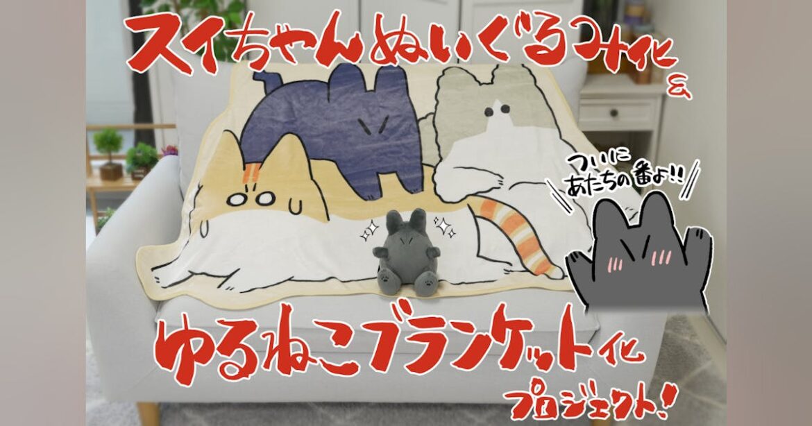 ついに仲間入り！スイちゃんぬいぐるみ化&ゆるねこブランケット化プロジェクト！ - CAMPFIRE (キャンプファイヤー)