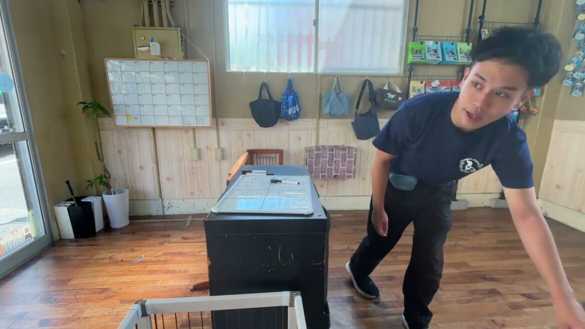 ケリーブルーテリアの”マーフィーくん”と”まて”のステップアップ！