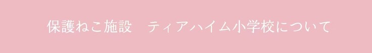 保護猫施設　ティアハイム小学校について