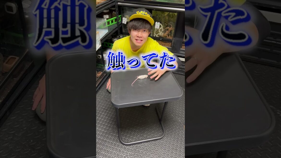 飼っている蛇に手を思いっきり噛まれてしまいました…