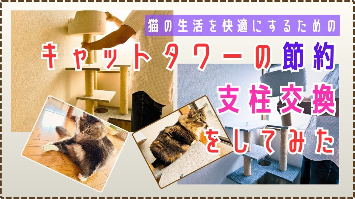 キャットタワーの支柱の傷みが激しかったので、メンテナンスを行いました。（EPISODE120／2025.9.3）