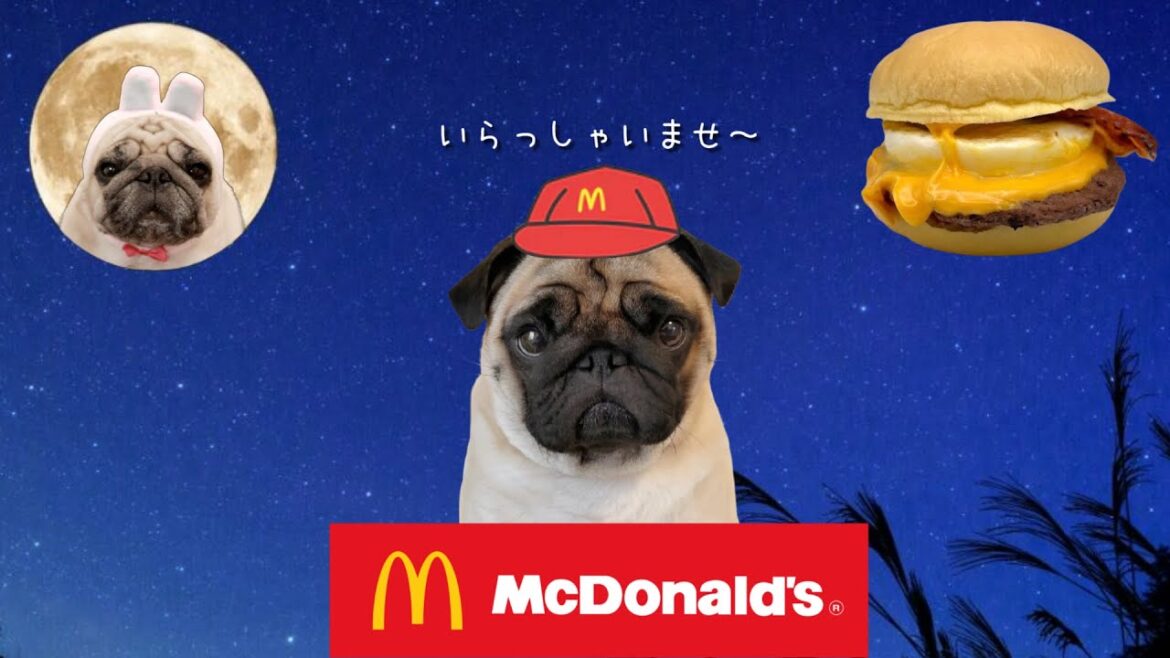 【生配信】今年もやってきた！マックの新作月見バーガー買って雑談します