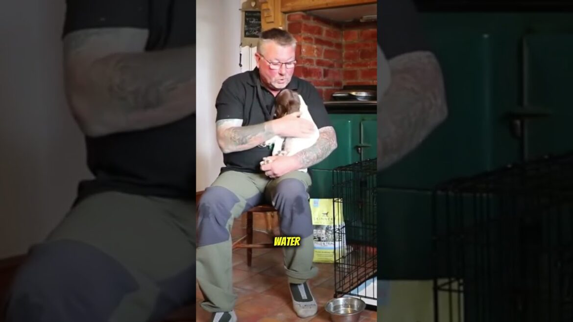 子犬のためのクレートトレーニングのヒント