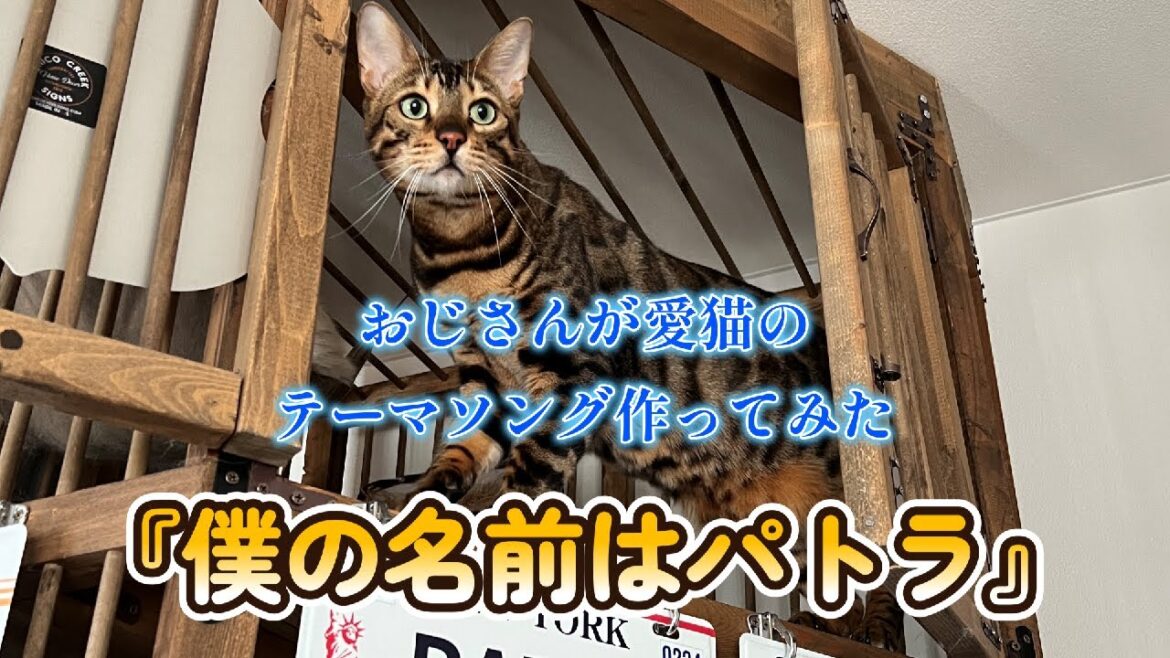 愛猫パトラのテーマソング『僕の名前はパトラ』 愛猫パトラのテーマソング『僕の名前はパトラ』