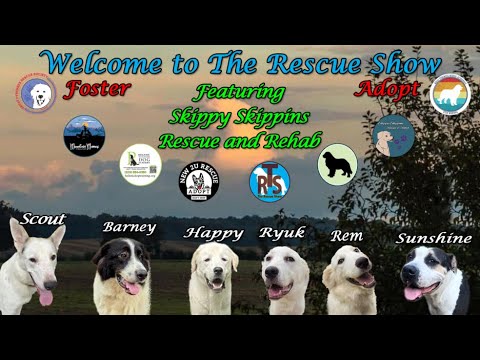 The Rescue Show 9-7-2025 Replay From 7-13-2025 The Rescue Show 9-7-2025 Replay From 7-13-2025