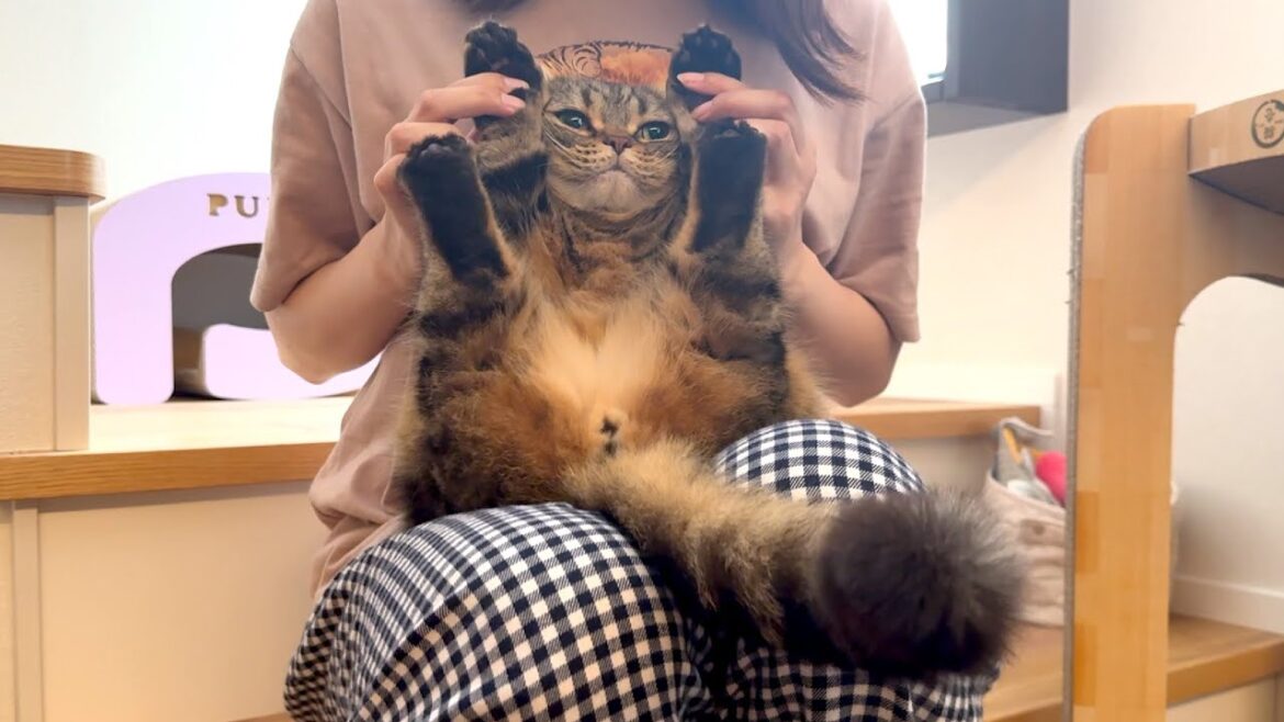 メルが４歳になりました！ばんざーーい！！