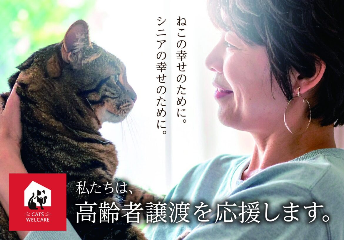 【2025年9月から本格スタート】理想的な、保護ねこの高齢者譲渡に向けて | NPO法人CATS WELCAREのプレスリリース