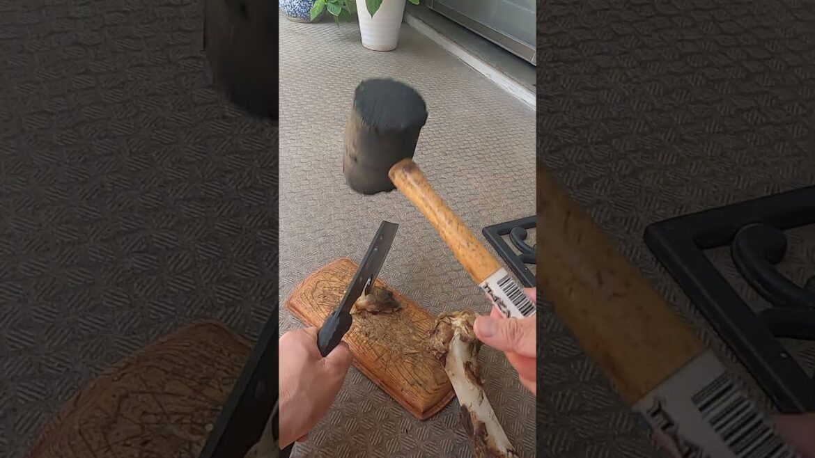 #ミニピンのいる生活『おやつの時間』