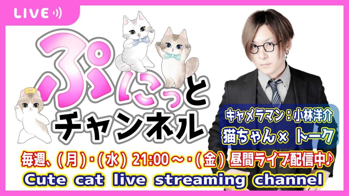 月食は見れましたか？♪猫ちゃんライブ配信♪