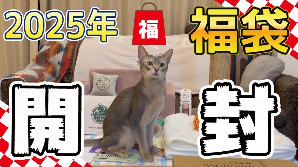 【猫福袋】2025年うちの猫ズと福袋を開封してみたら最高だった♡