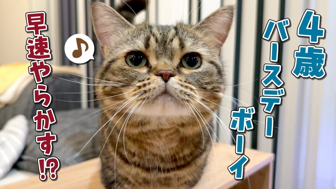 ４歳になったメルに大好きなおやつをあげたらまさかの事件発生！？